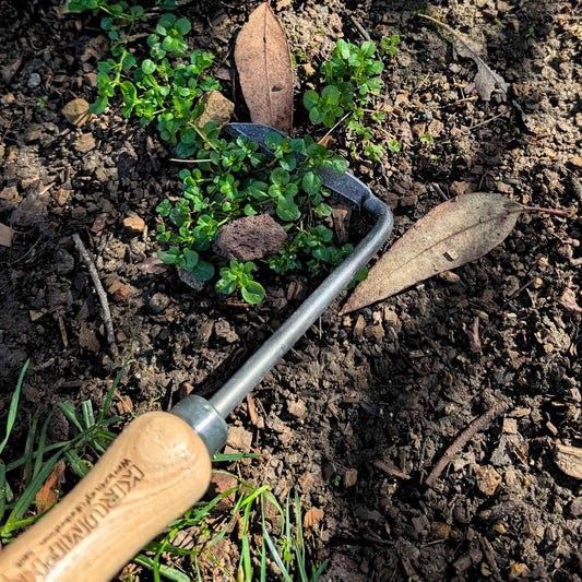 Krumpholz Hand - Forged Cape Cod Weeder Home & Garden > Garden Tools > Hand Tools - Minimalist Gardener