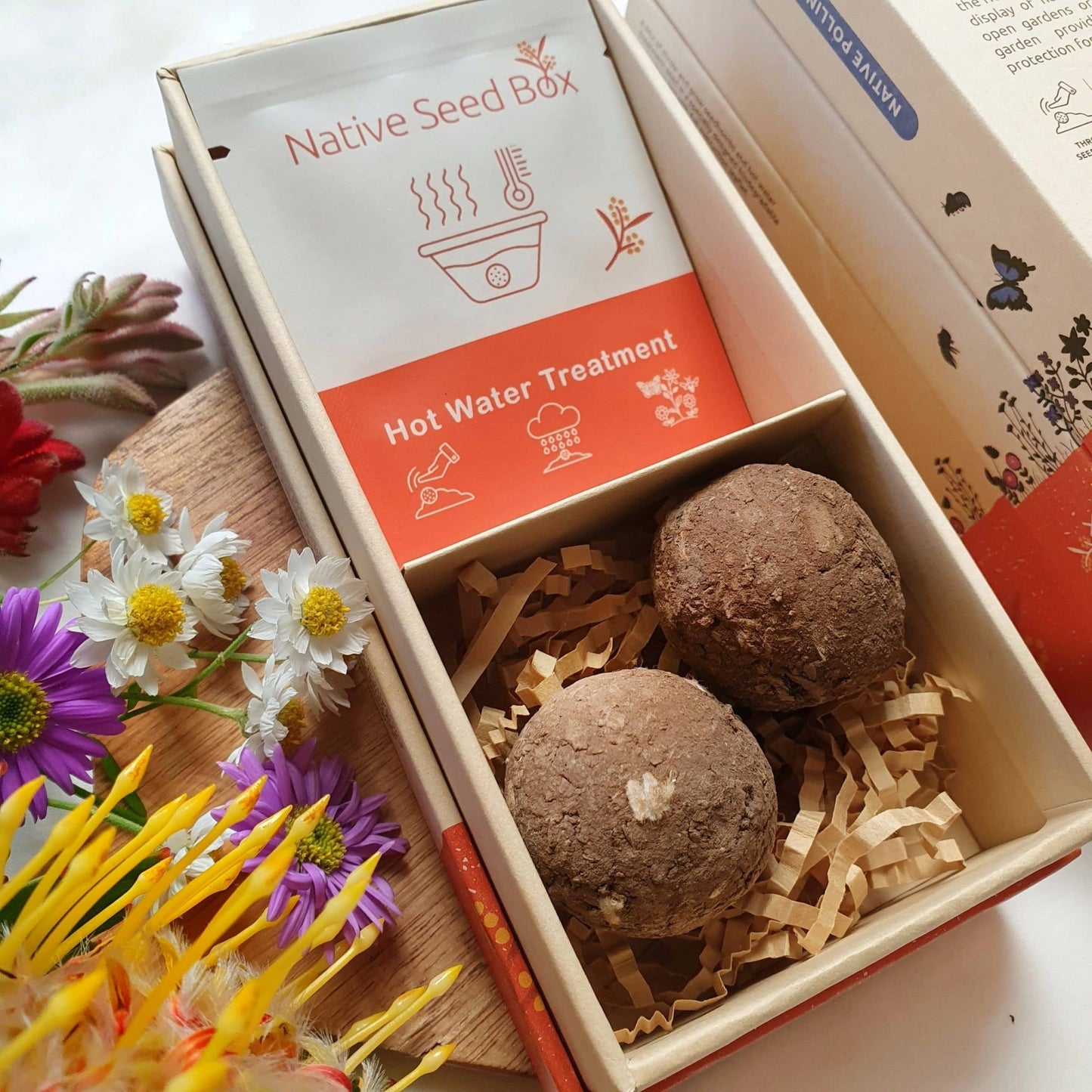 Native Seed Bombs Wildflowers for Native Pollinators Home & Garden > Garden Accessories > Native Seeds - Minimalist Gardener