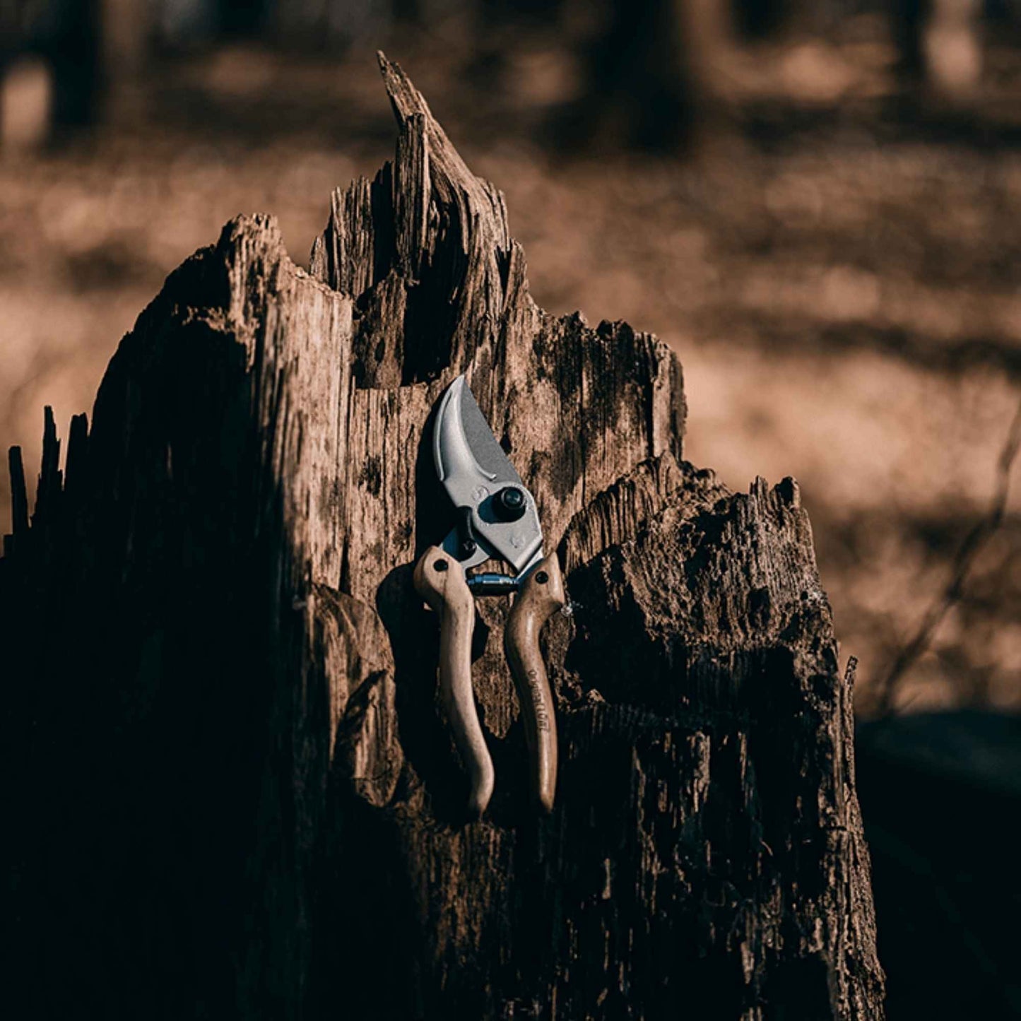 Original LÖWE Natural 9.107 Professional Bypass Secateurs Home & Garden > Garden Tools > Shears - Minimalist Gardener