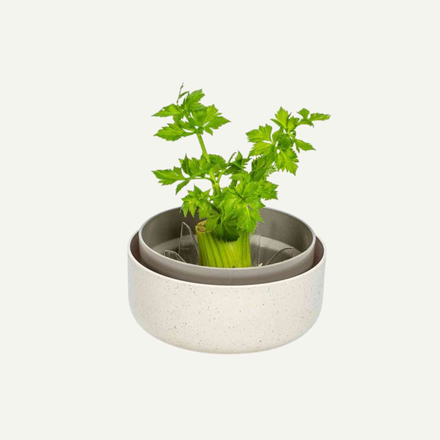 Plastia Regrow Sprouting Kit Home & Garden > Garden Accessories > Planting - Minimalist Gardener