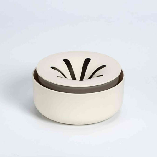 Plastia Regrow Sprouting Kit Home & Garden > Garden Accessories > Planting - Minimalist Gardener