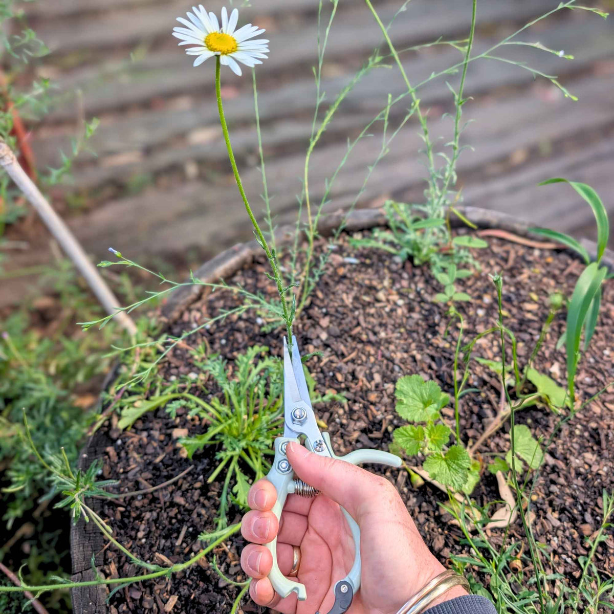 Pruning Shears | Ergonomic Garden Scissors Home & Garden > Garden Tools > Shears - Minimalist Gardener
