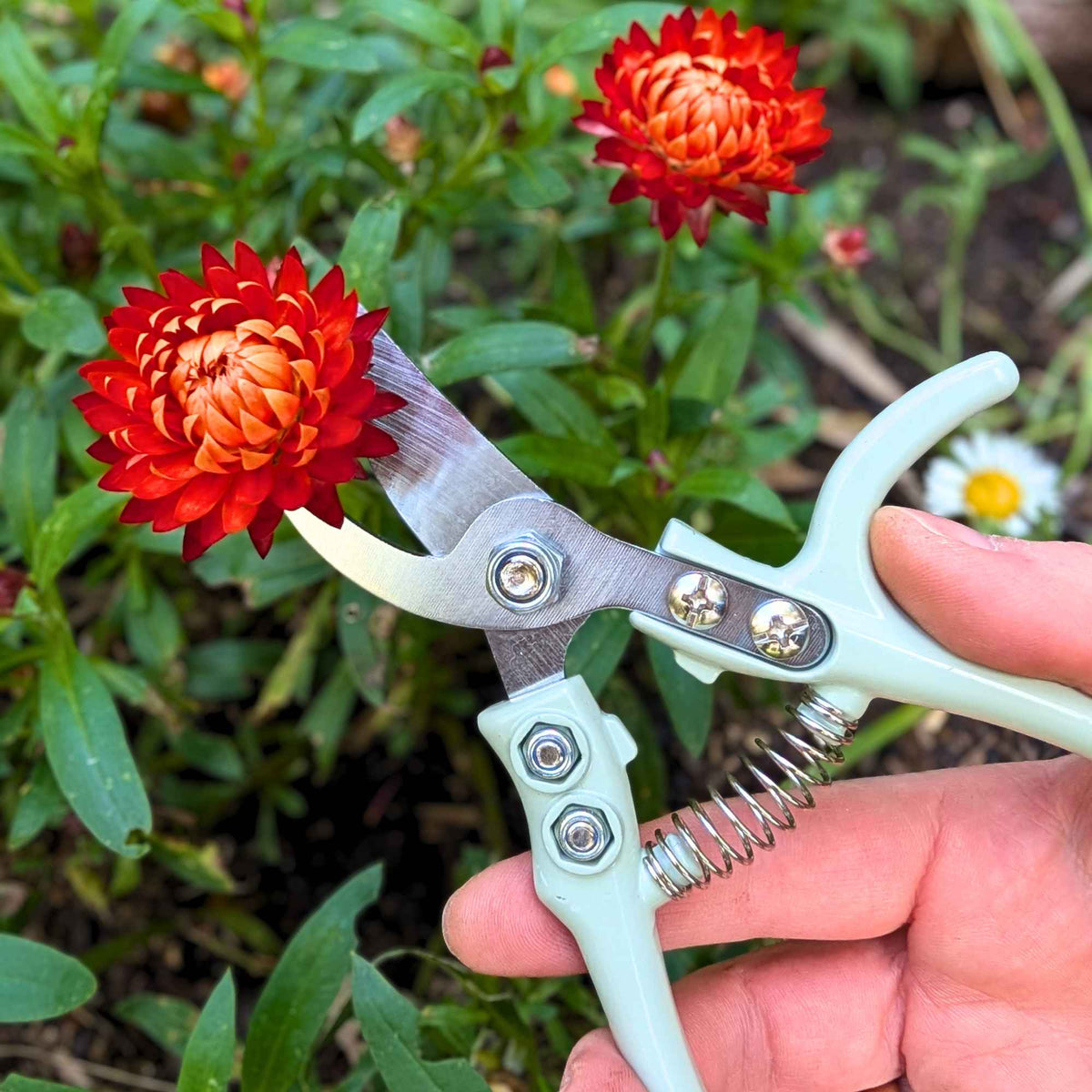 Pruning Shears | Ergonomic Garden Scissors Home & Garden > Garden Tools > Shears - Minimalist Gardener