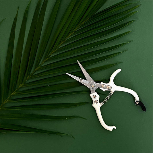 Pruning Shears White Home & Garden > Garden Tools > Shears - Minimalist Gardener