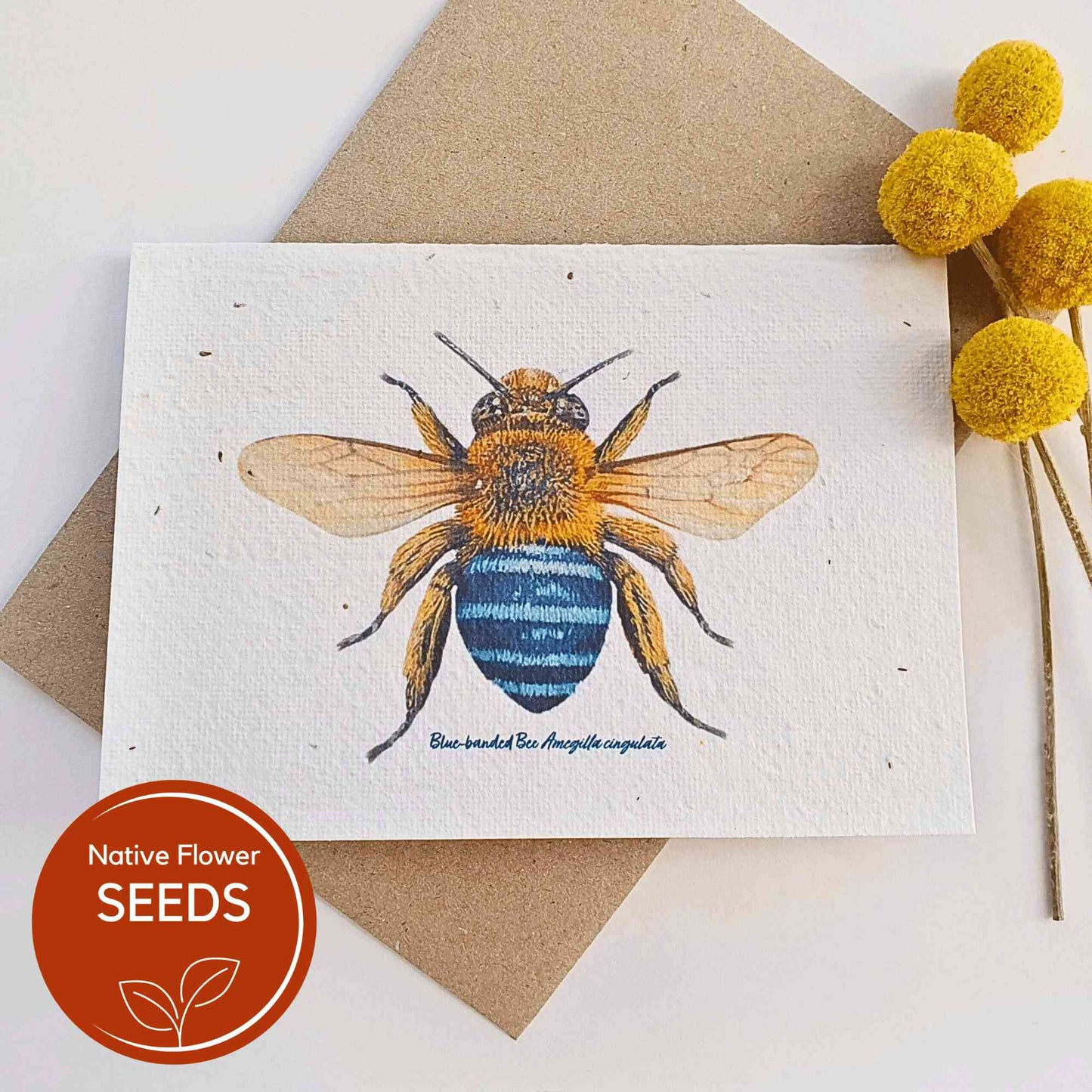 Recycled Plantable Greeting Card | Blue Banded Bee Gardening Gifts > Greeting Cards > Plantable Paper Card - Minimalist Gardener