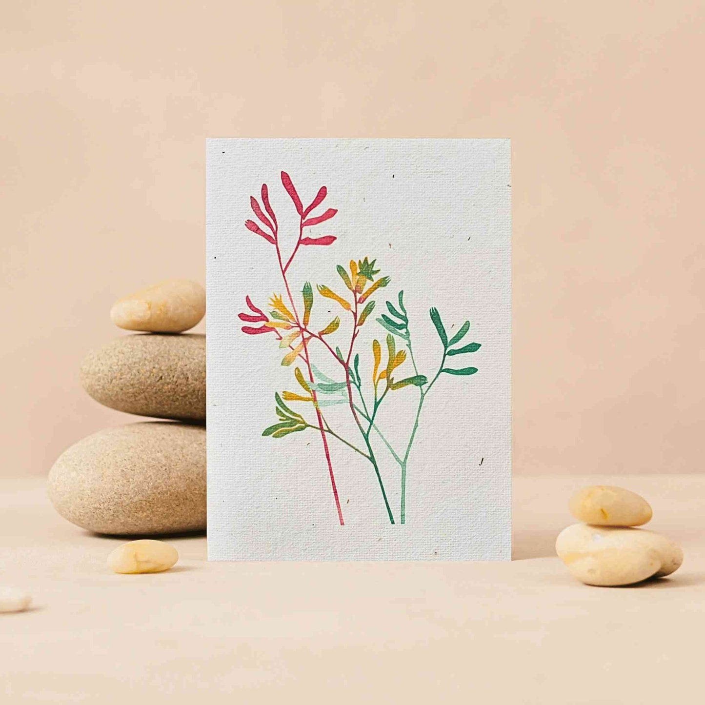 Recycled Plantable Greeting Card | Kangaroo Paw Gardening Gifts > Greeting Cards > Plantable Paper Card - Minimalist Gardener