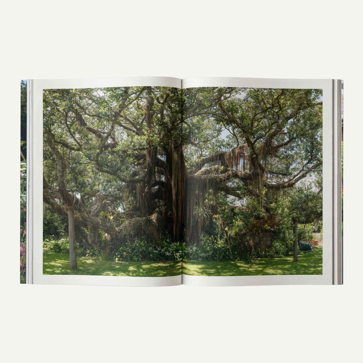 Sage Garden Journal Vol. 2 | For The Garden Curious Home & Garden > Gardening Gifts > Garden Journals - Minimalist Gardener
