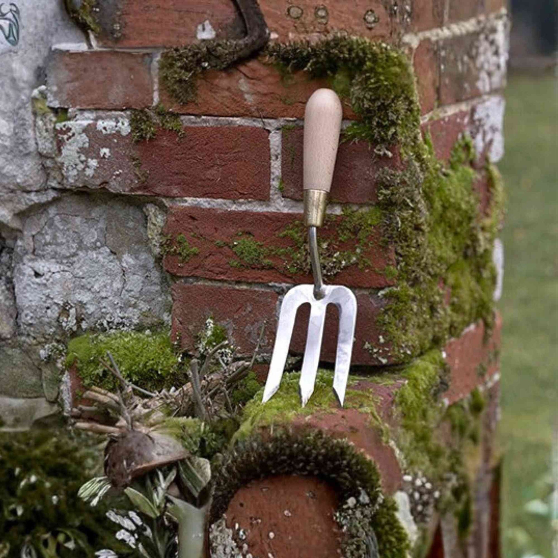 Sophie Conran Gift - Boxed Hand Fork Home & Garden > Garden Tools > Hand Tools - Minimalist Gardener