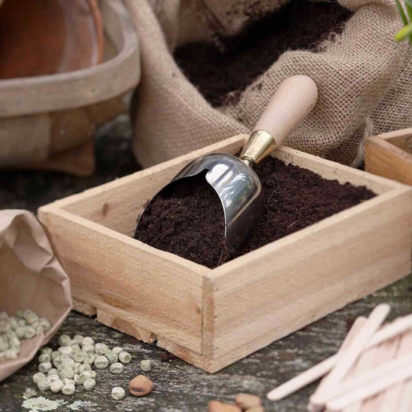 Sophie Conran Gift - Boxed Hand Scoop Home & Garden > Garden Tools > Hand Tools - Minimalist Gardener