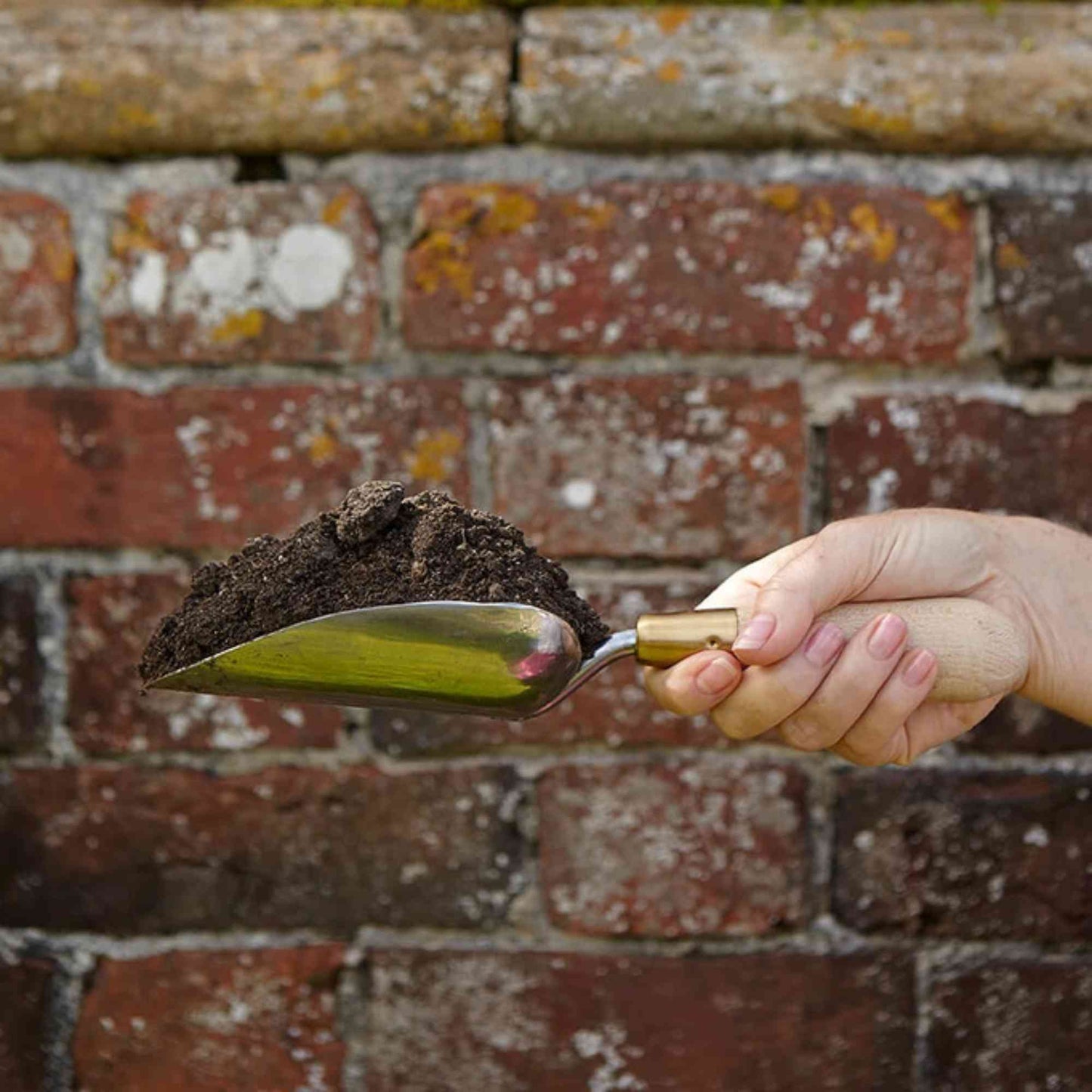 Sophie Conran Gift - Boxed Hand Trowel Home & Garden > Garden Tools > Hand Tools - Minimalist Gardener