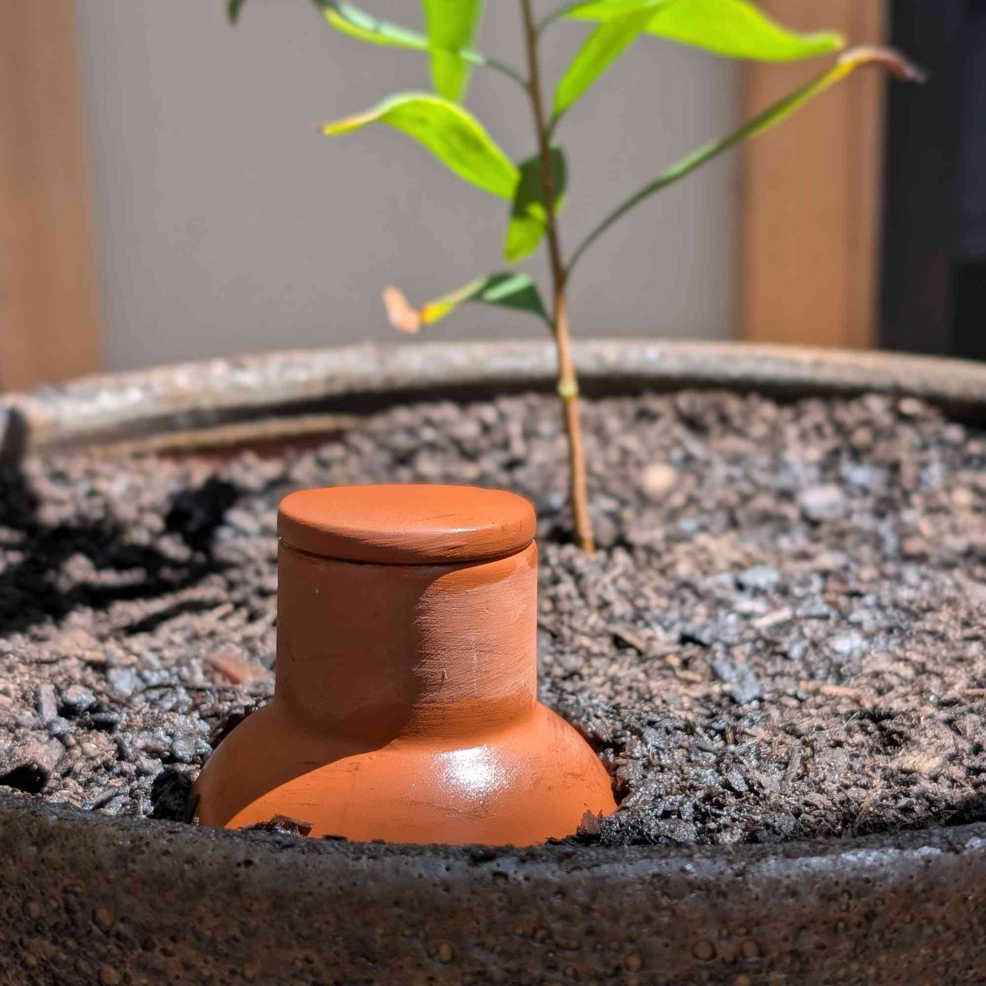 Terracotta Bottle Olla Irrigation Pots | Set of 2 Home & Garden > Garden Accessories > Watering - Minimalist Gardener