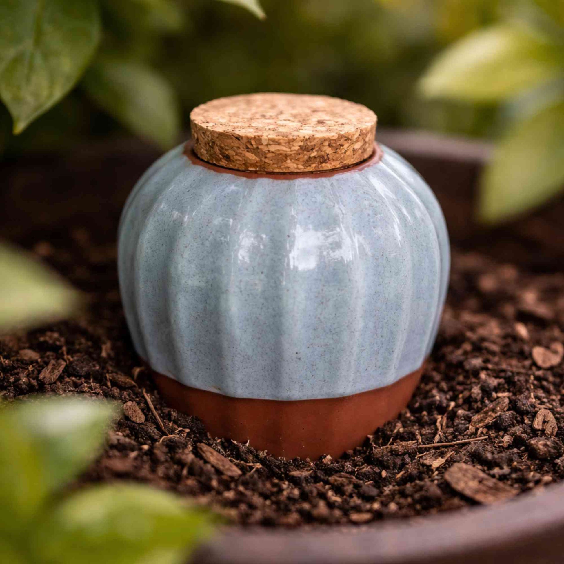 Terracotta Olla Irrigation Pot - Drift Blue Home & Garden > Garden Accessories > Watering - Minimalist Gardener