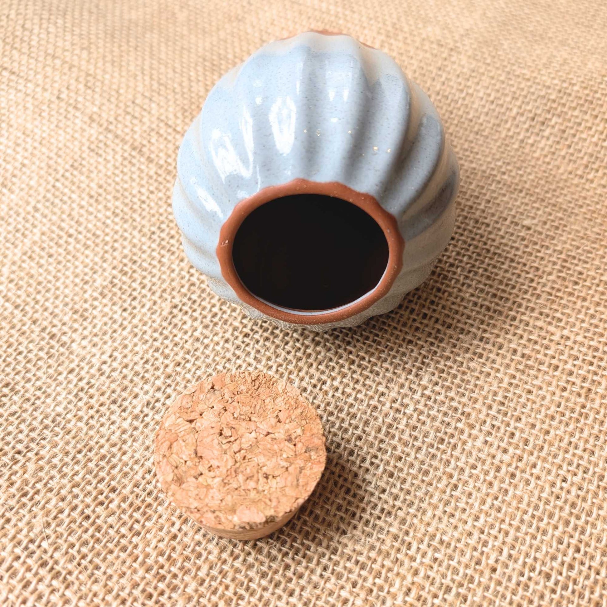 Terracotta Olla Irrigation Pot Drift Blue Home & Garden > Garden Accessories > Watering - Minimalist Gardener