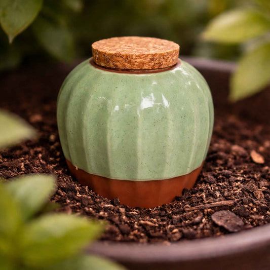 Terracotta Olla Irrigation Pot - Eucalyptus Home & Garden > Garden Accessories > Watering - Minimalist Gardener