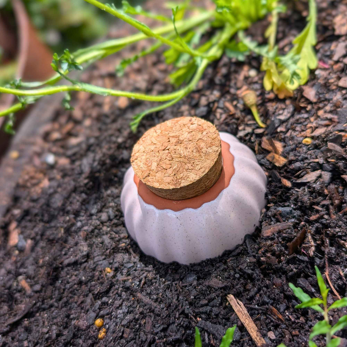 Terracotta Olla Irrigation Pots | Set of 5 Colours Home & Garden > Garden Accessories > Watering - Minimalist Gardener
