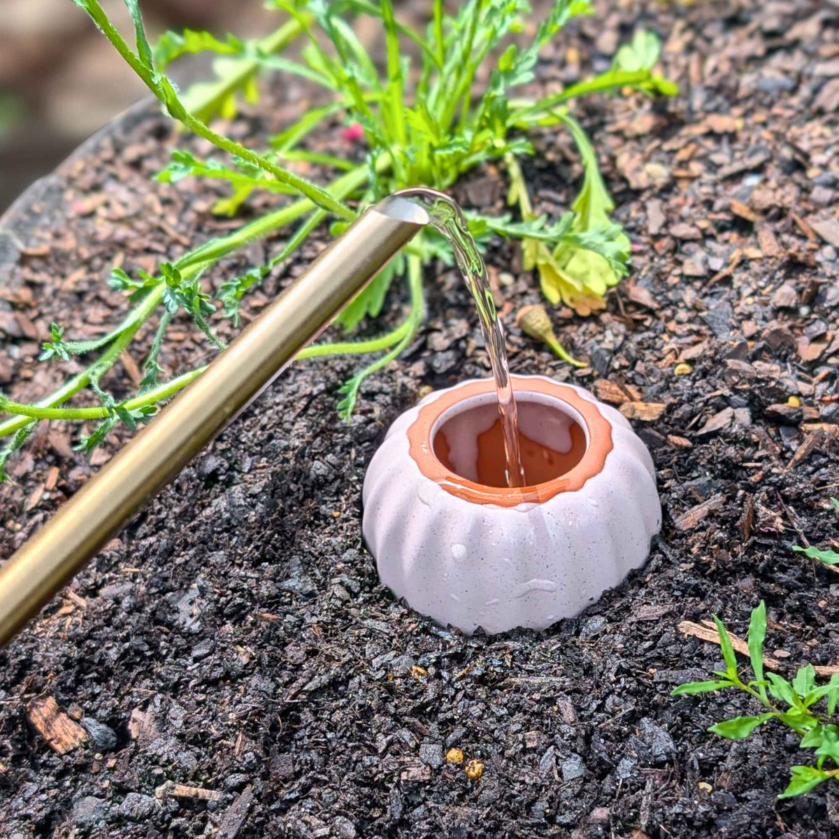 Terracotta Olla Irrigation Pots | Set of 5 Colours Home & Garden > Garden Accessories > Watering - Minimalist Gardener