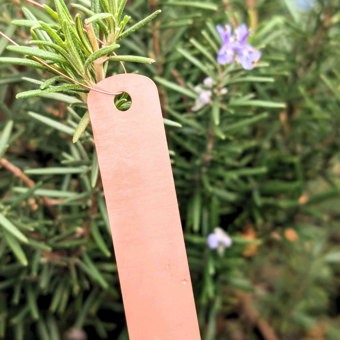 Tie On Copper Plant Labels | Pack of 10 Home & Garden > Garden Labels > Slate Plant Tags - Minimalist Gardener