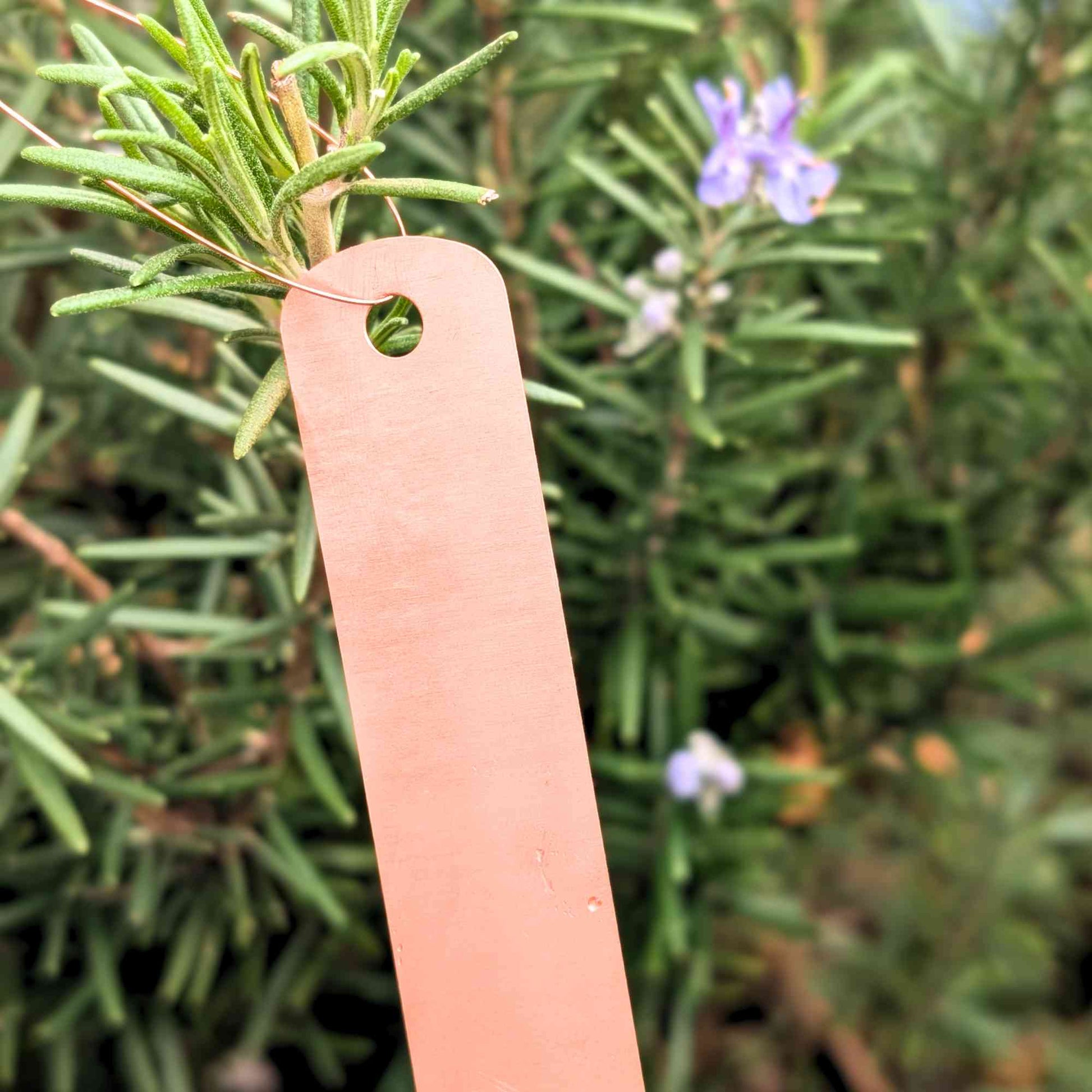 Tie On Copper Plant Labels | Pack of 10 Home & Garden > Garden Labels > Slate Plant Tags - Minimalist Gardener