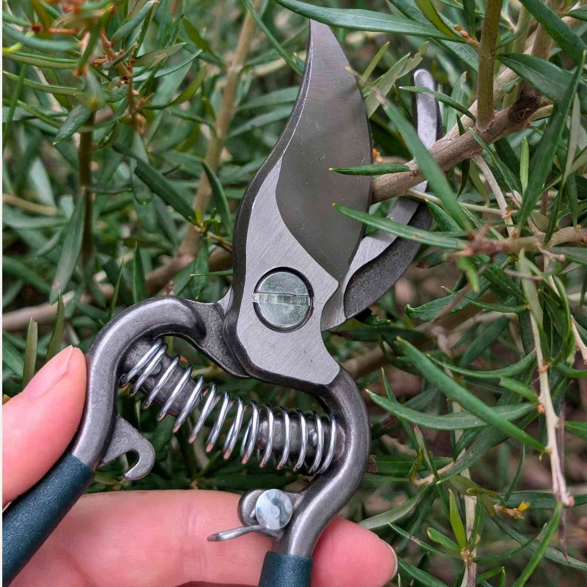 Tiller & Rowe Heavy Duty Bypass Secateurs Home & Garden > Garden Tools > Secateurs - Minimalist Gardener